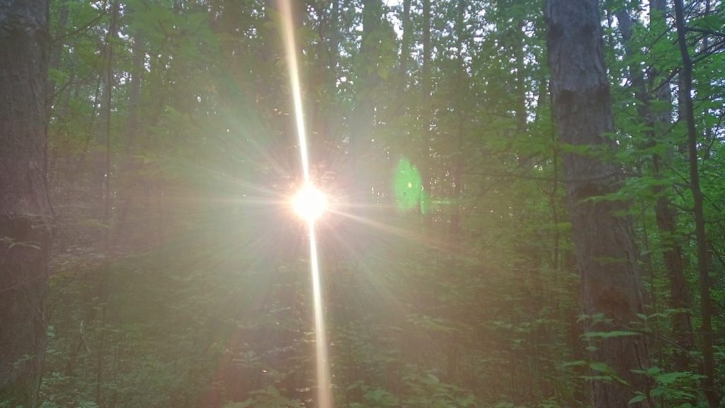 Полет
