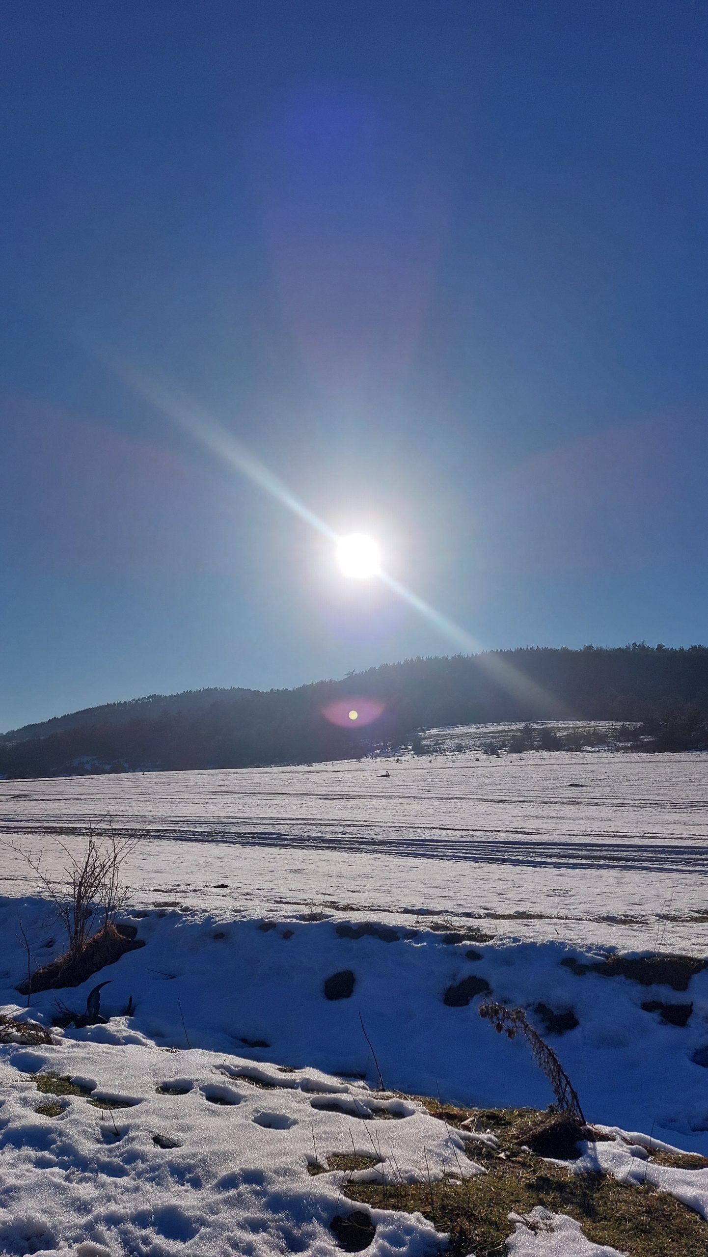 dvizhenie
