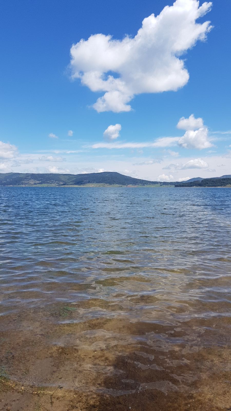 Земен Живот